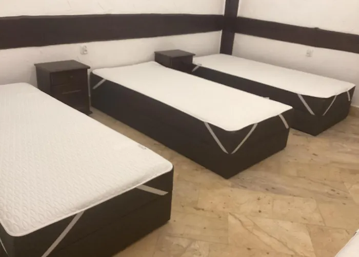 Apartment Pod Papuga